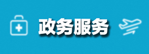 政務服務